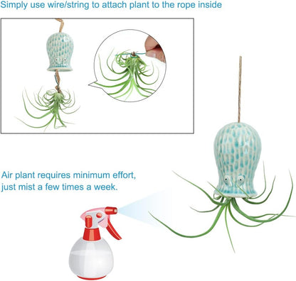 Octpus Air Plant Pot Hanging Pots