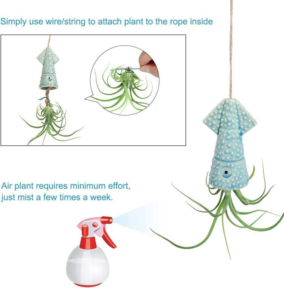 Squid Air Plant Hanger Original, Small Hand Crafted Hanging Squid Air Planter, Octopus Garden, Bring the Beach Home