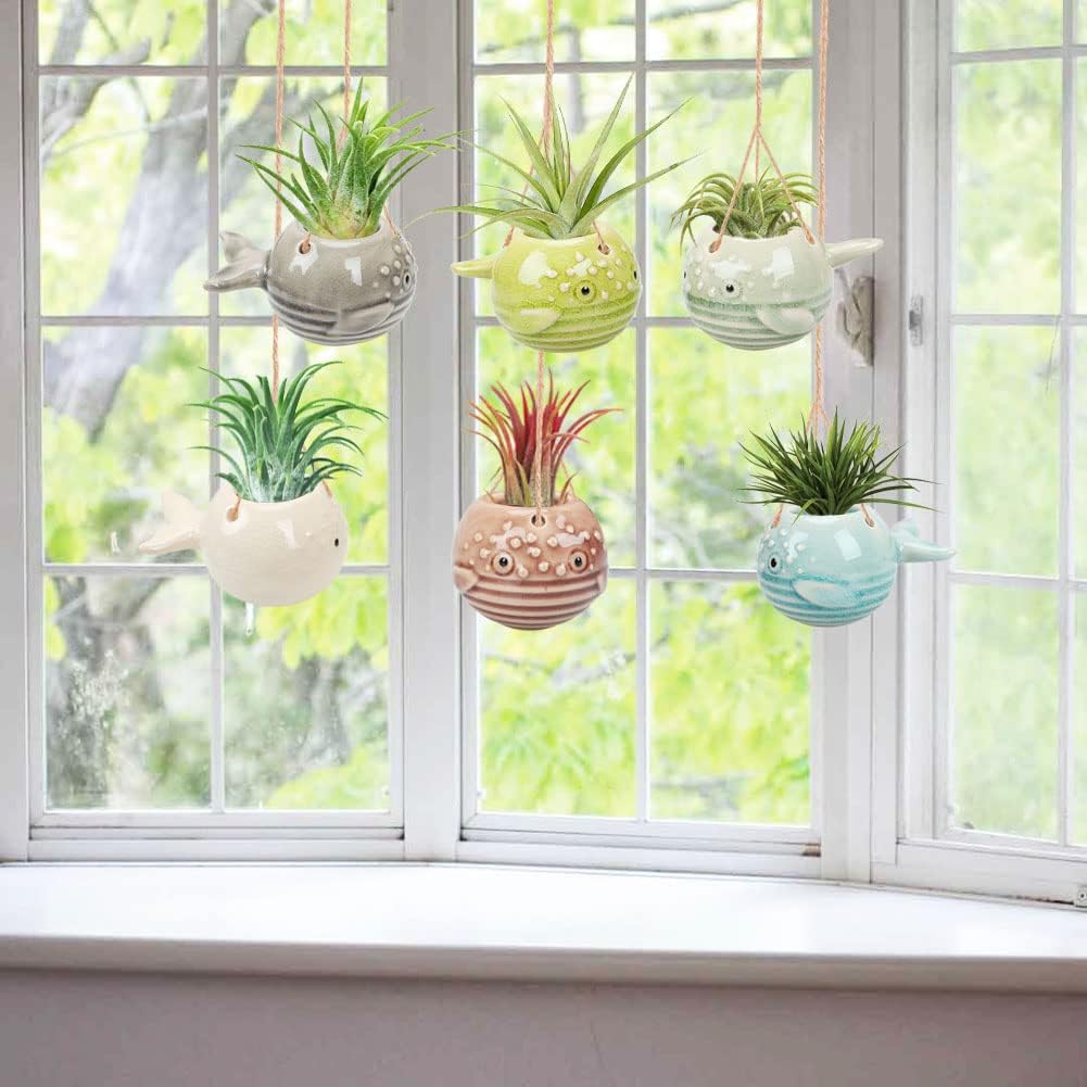 Pufferfish Air Plant Hanger Wall Planter, Ceramic Tillandsia Airplants Holders Hanging Wall Decor for Home, Office & More