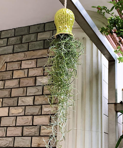 Octpus Air Plant Pot Hanging Pots