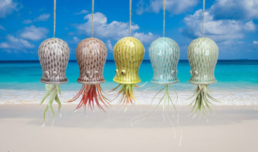 Octpus Air Plant Pot Hanging Pots